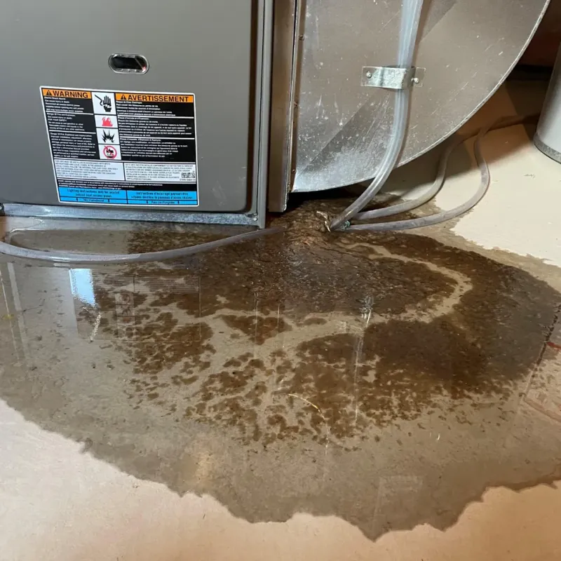 Appliance Leak Cleanup in Peachtree Corners, GA